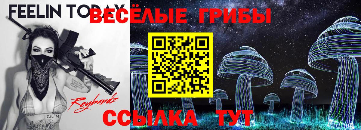 Псилоцибиновые грибы Cubensis Курчатов